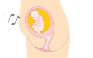 图片[6]-胎儿的成长-性教育网